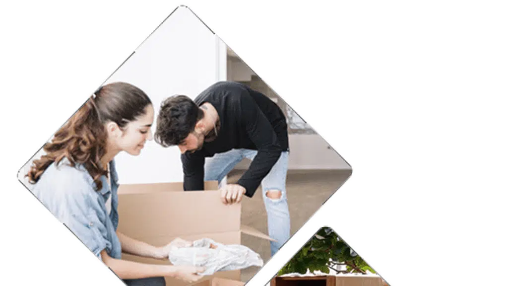 Safe Packers and Movers