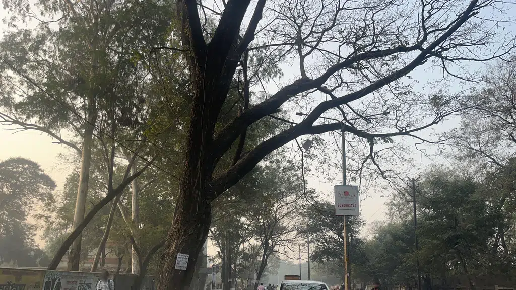 Bank of Baroda