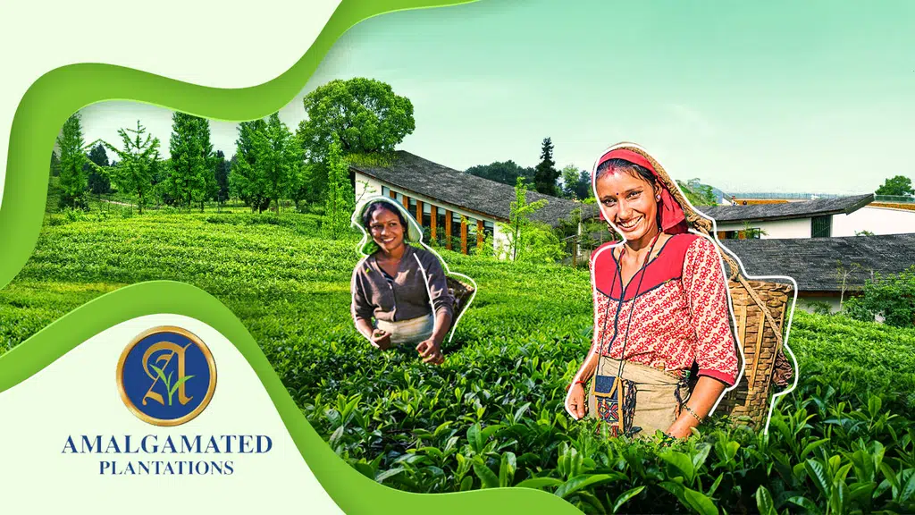 Hathikuli Tea Estate