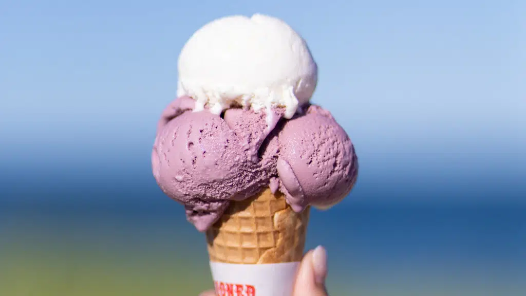 Ice cream cafe Nikol