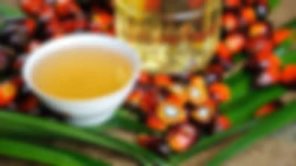 Yellowfield Organic India Pvt. Ltd.