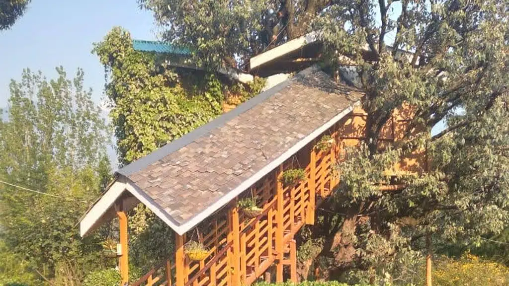 Treehouse cottages