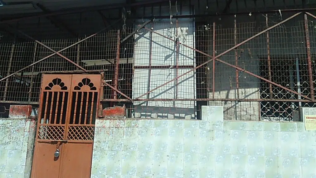 Shree Sai Aquarium