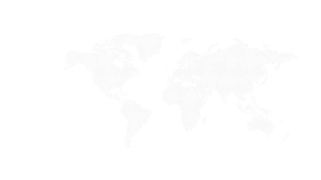 Boss International Studies