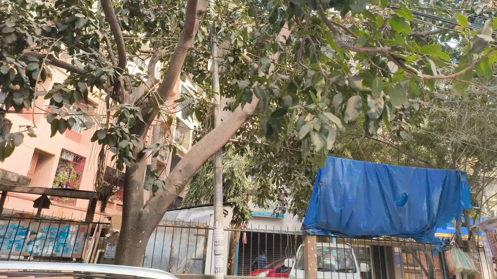 Kashyap Automobiles Beltola