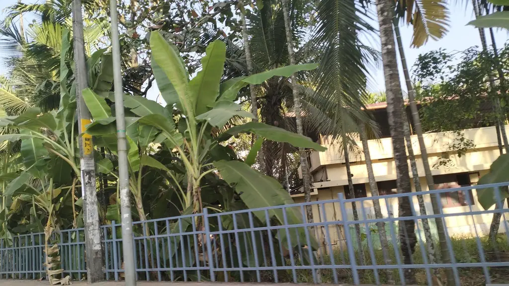Calicut City Service Cooperative Bank Ltd