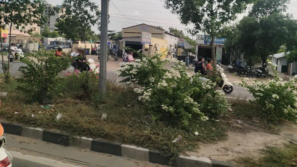 Sevendays CAFE Thadigadapa