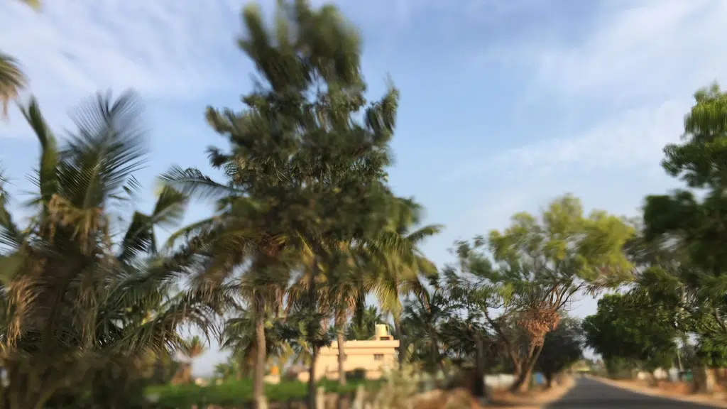 Royal Villa Boarding and Lodging