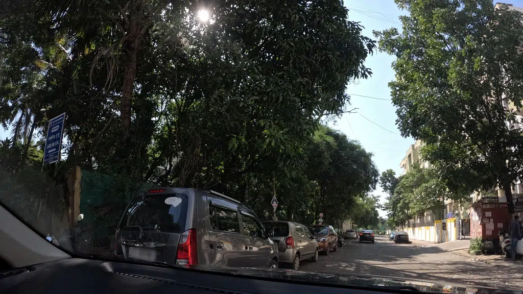 Marigold Avenue