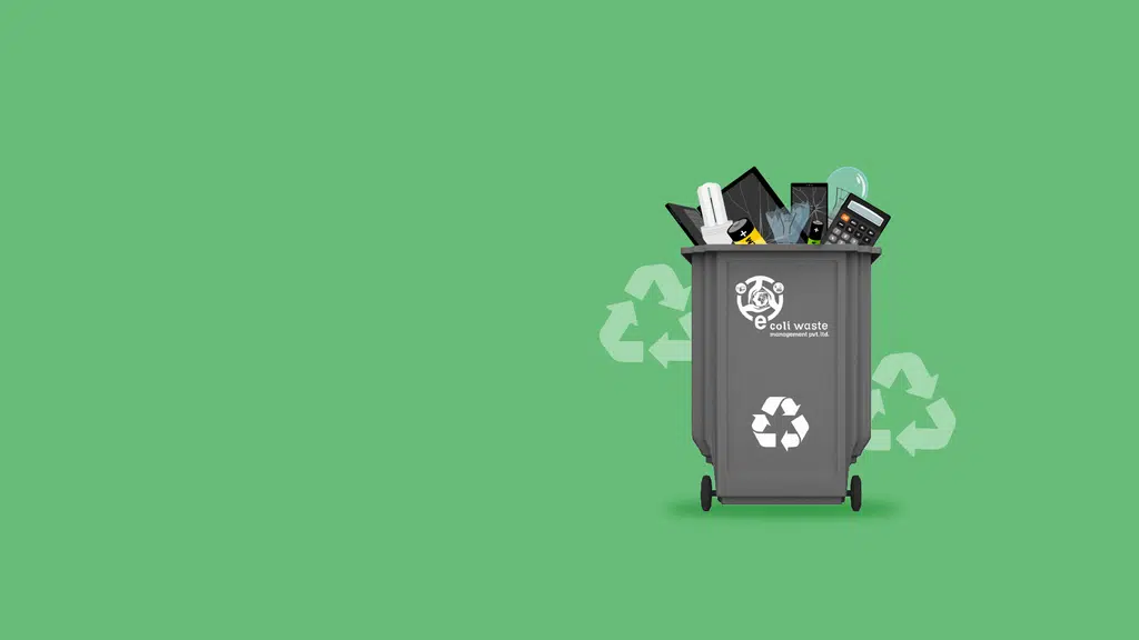 Ecoli Waste Management