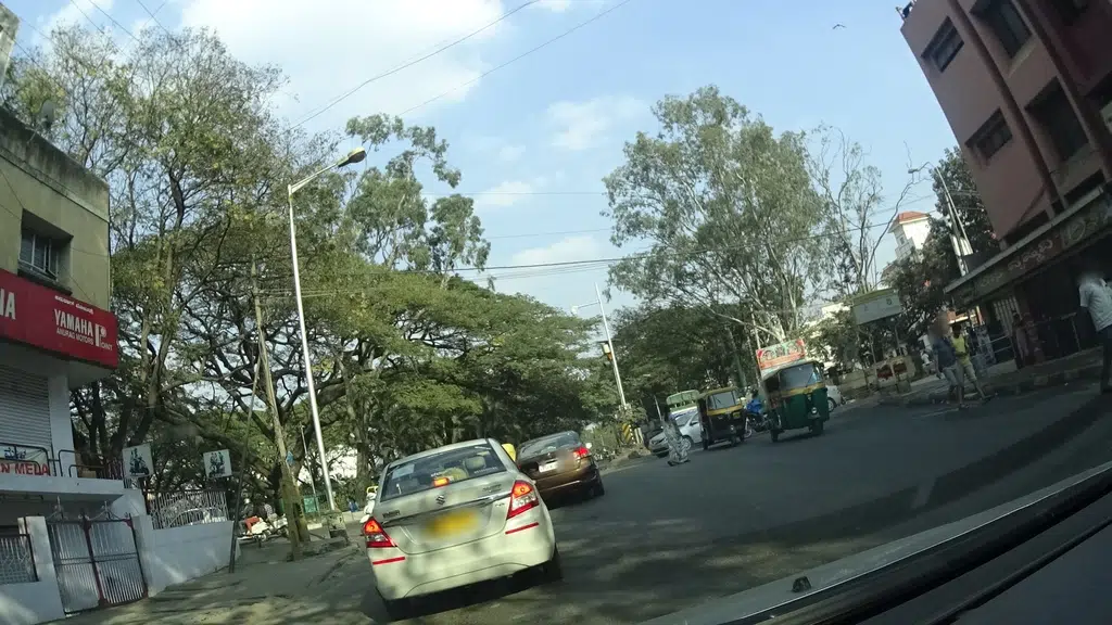 Sri Subramanyan Plantain Leaves Merchants