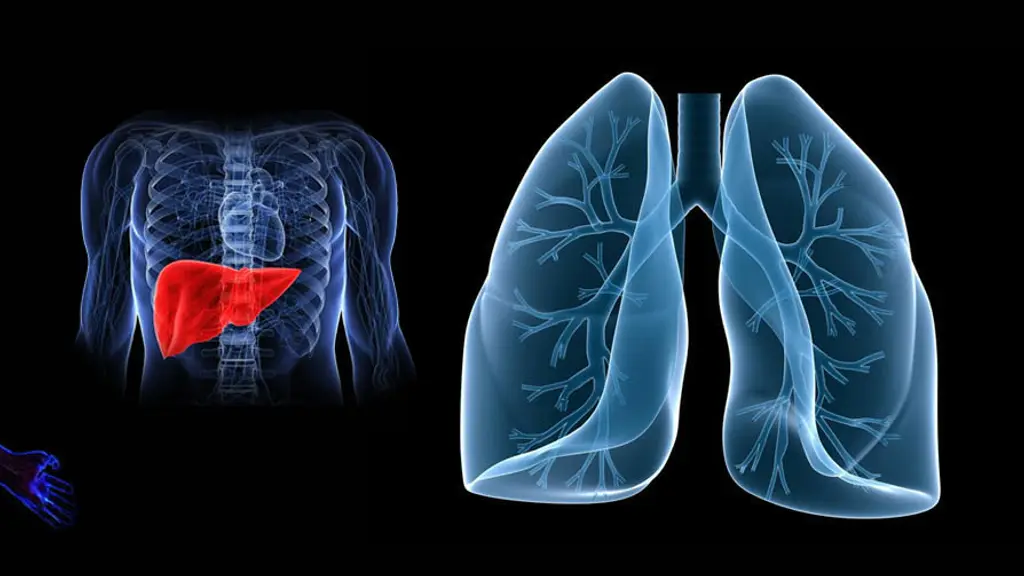 Dr. Anand's Multispeciality Homeo Clinic