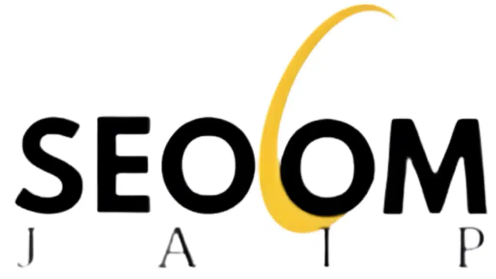 SEO Company Jaipur