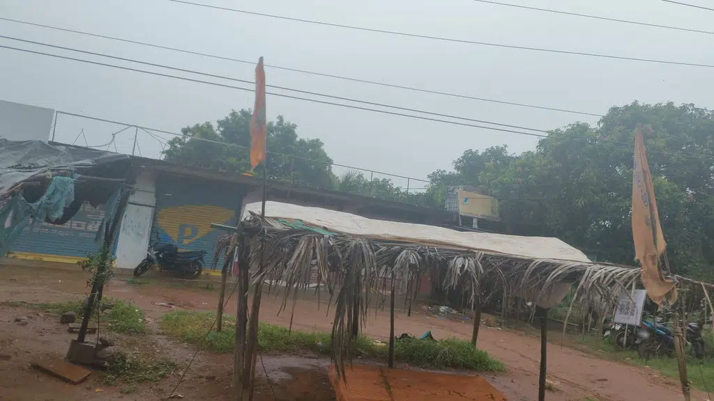 Palle Vindu