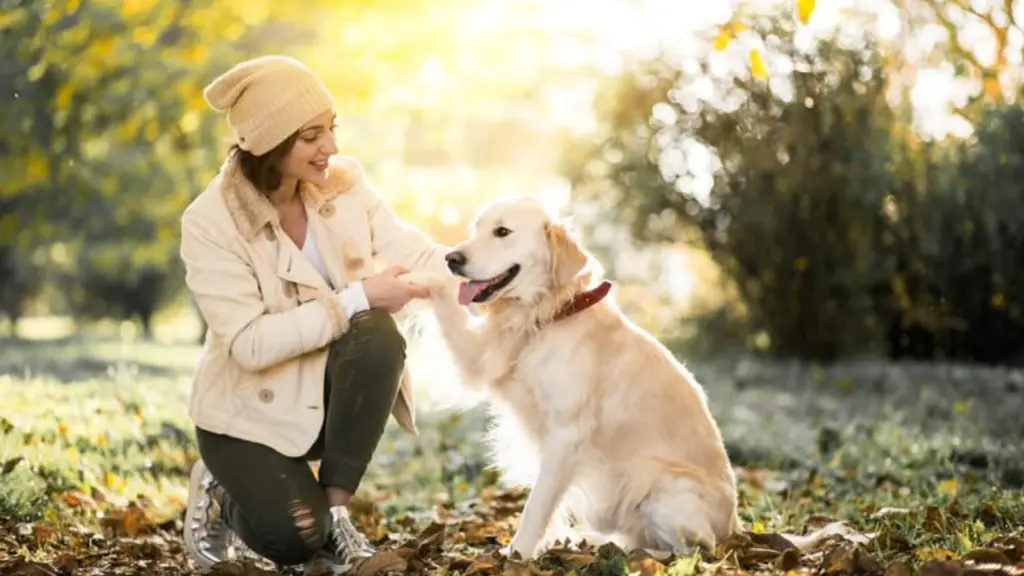 Urban Canine Society