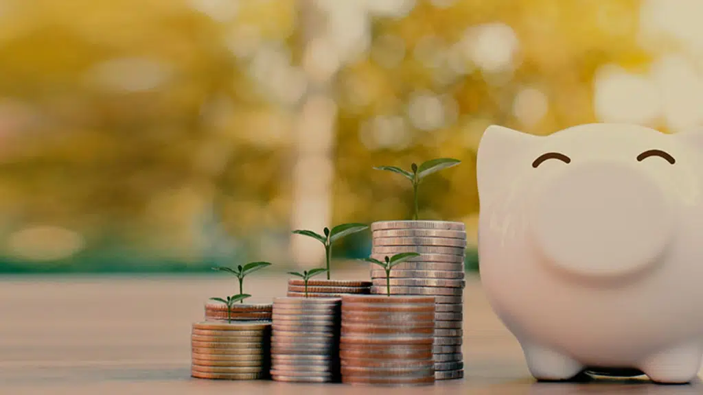 S R Investments