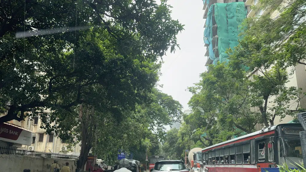 Sahibaan