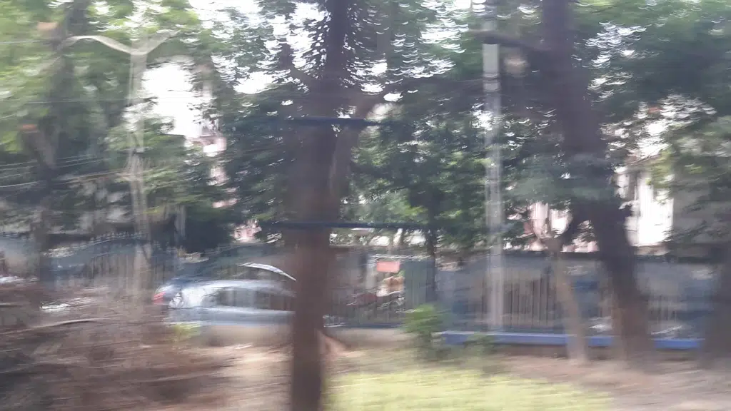 Zenith Institute