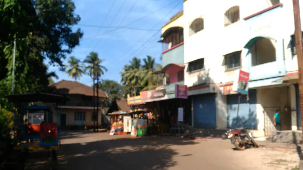 Pitrachhaya