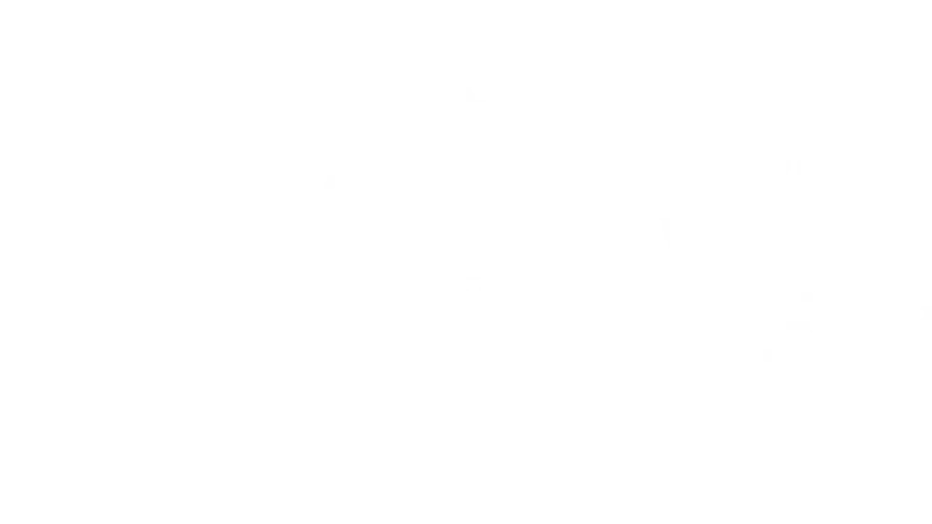 Webfrog IT Services (Digital Marketing Agency)