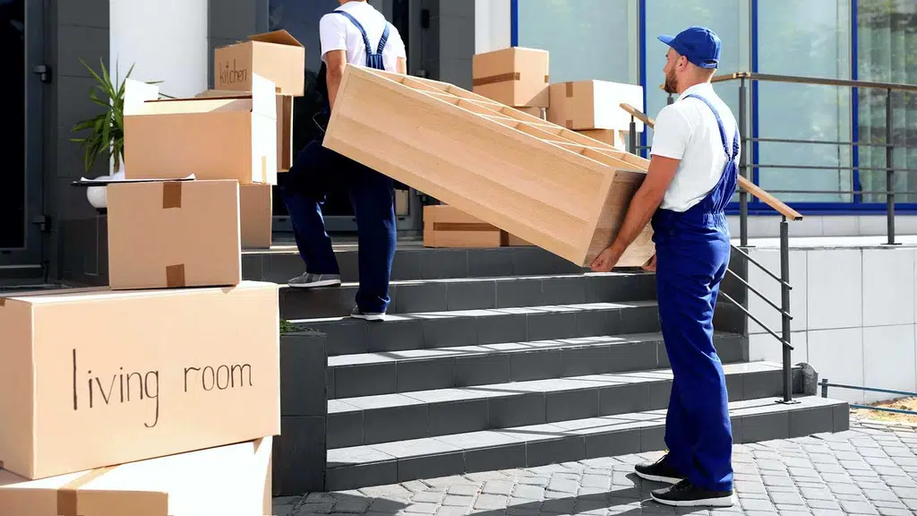 Genoex Packers and Movers