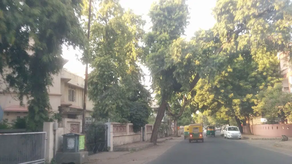 Vasant Kunj