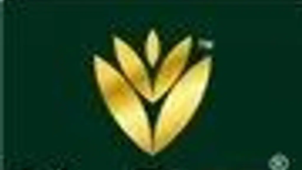 Vandeep International