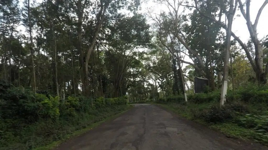 Coorg Naveen Homes