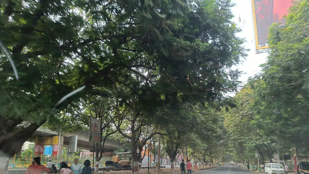 CA Preeti Aggarwal