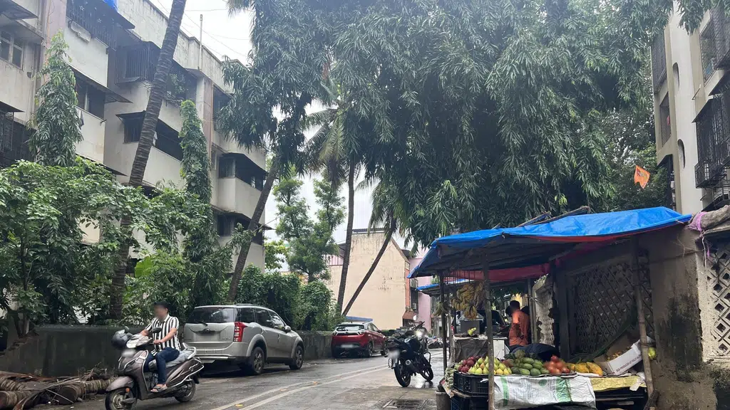 Ronak Estate Consultant