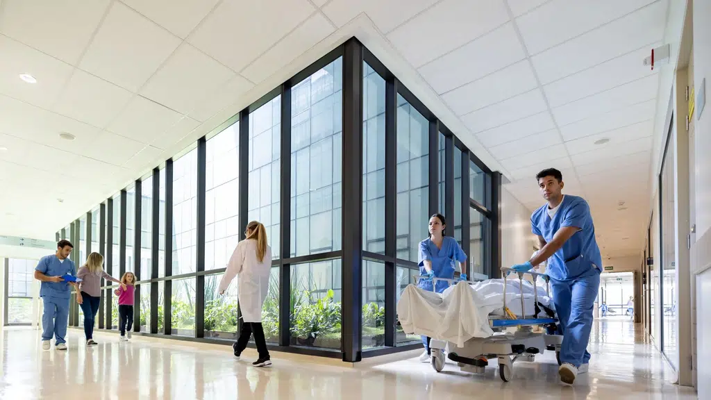 Meditree Hospital
