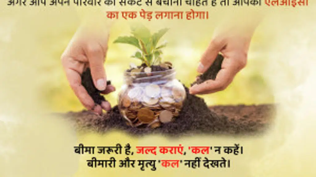 Nilima's Insurance and Investments