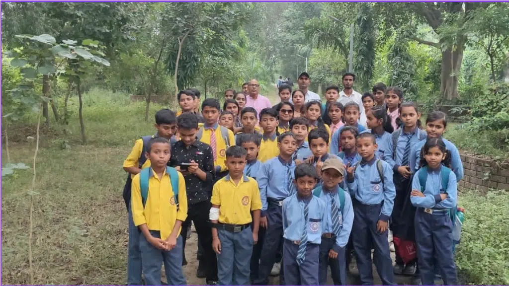 Rising Sun Group of School