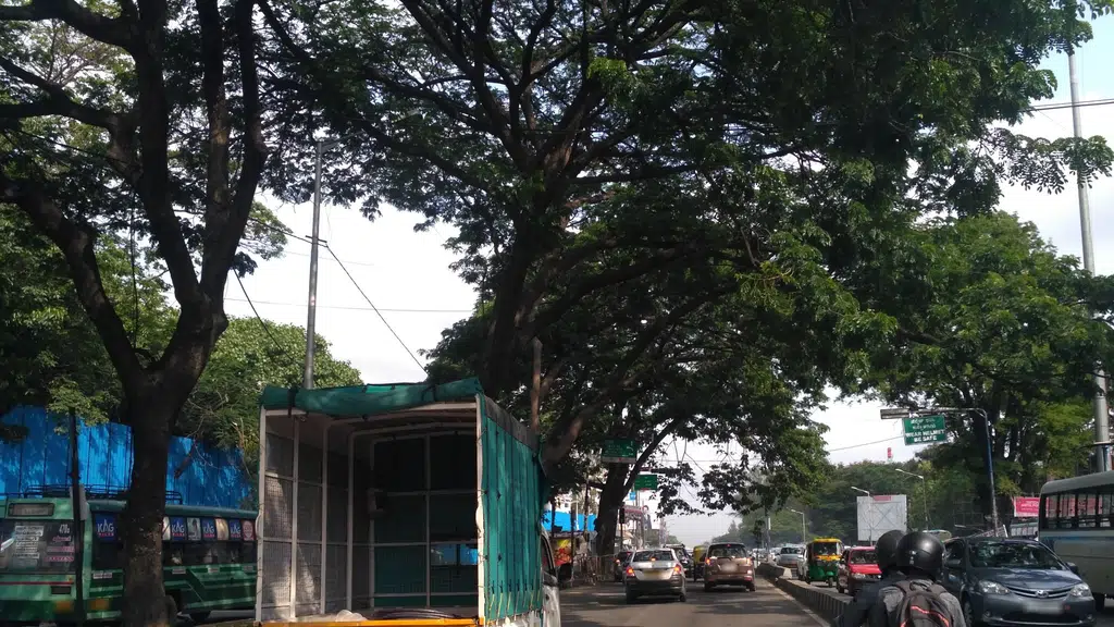 Ginza Bangalore