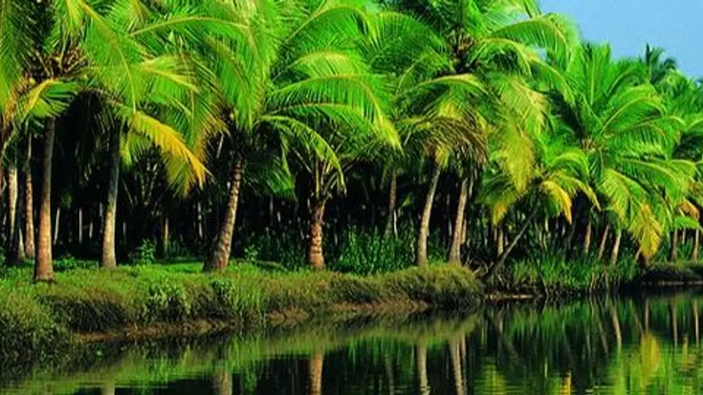 Carnival Tours & Travels