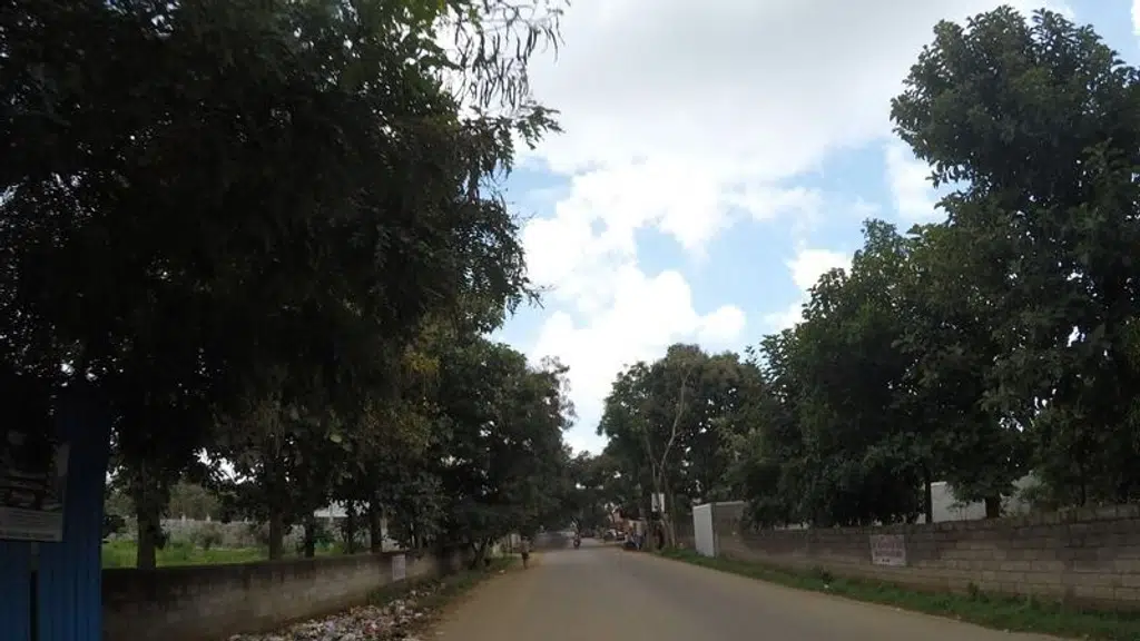 Bhoomika Medical and General Stores