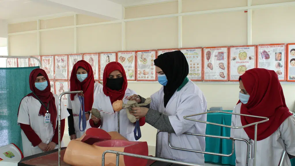 Haneefa nursing college mazbugh road near Fruit Mandi Sopore