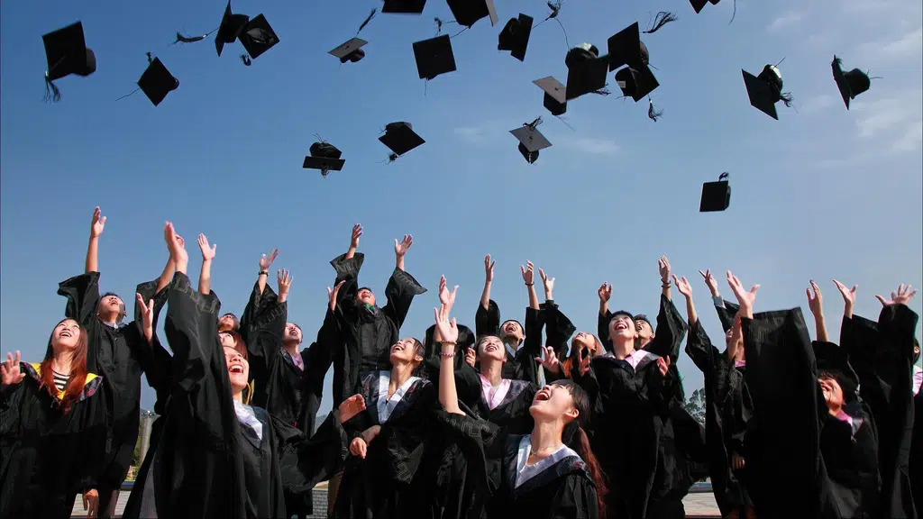 Novaturient Education