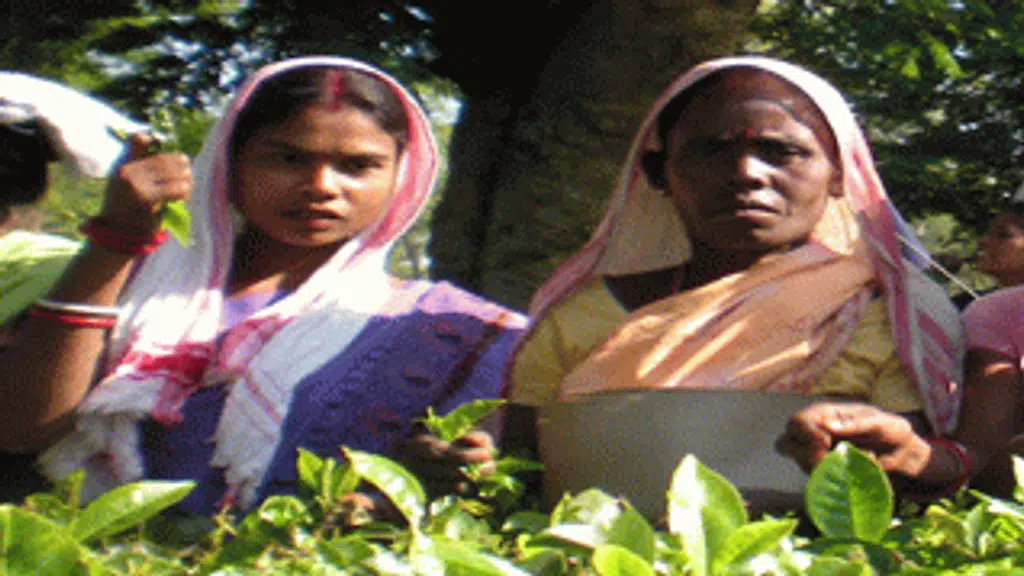 Assam Chah Mazdoor Sangha