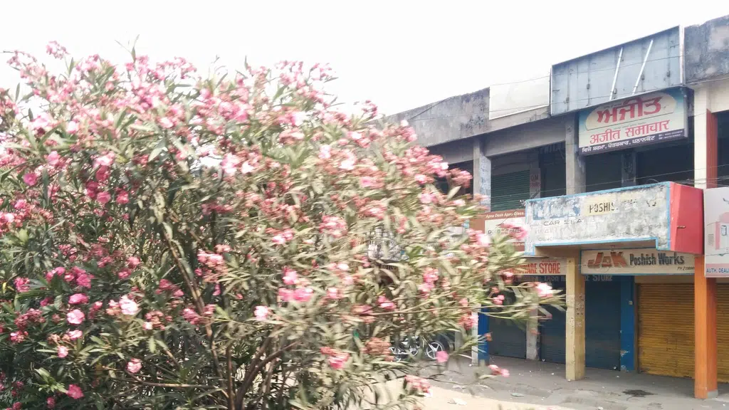 Punjab National Bank