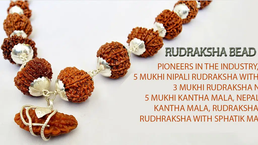 Indian Vedic Astrology