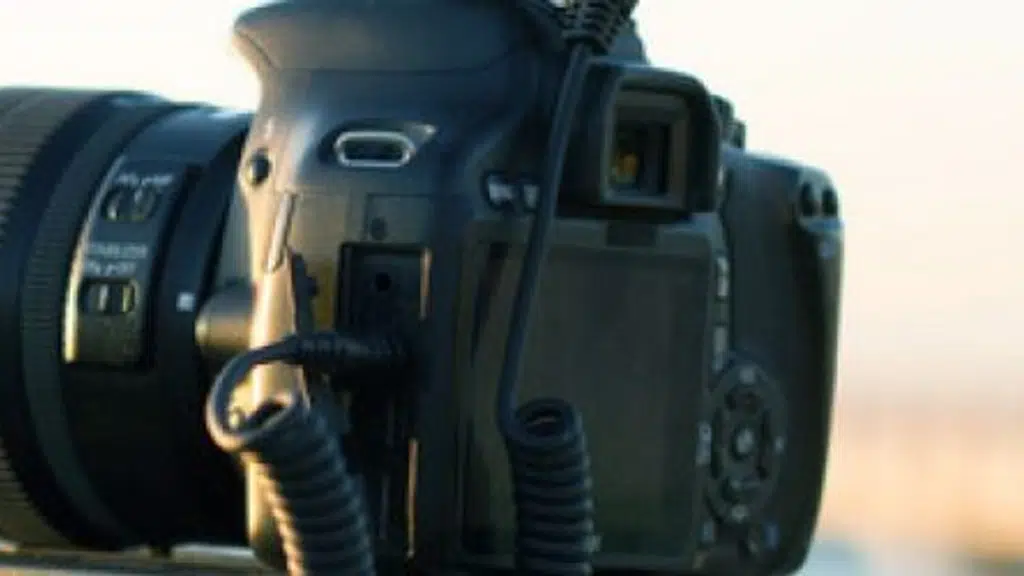 Padma Priya Colour Lab