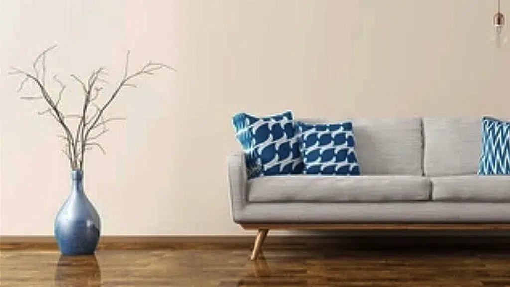 Aesthetics -Furniture and Home Decor