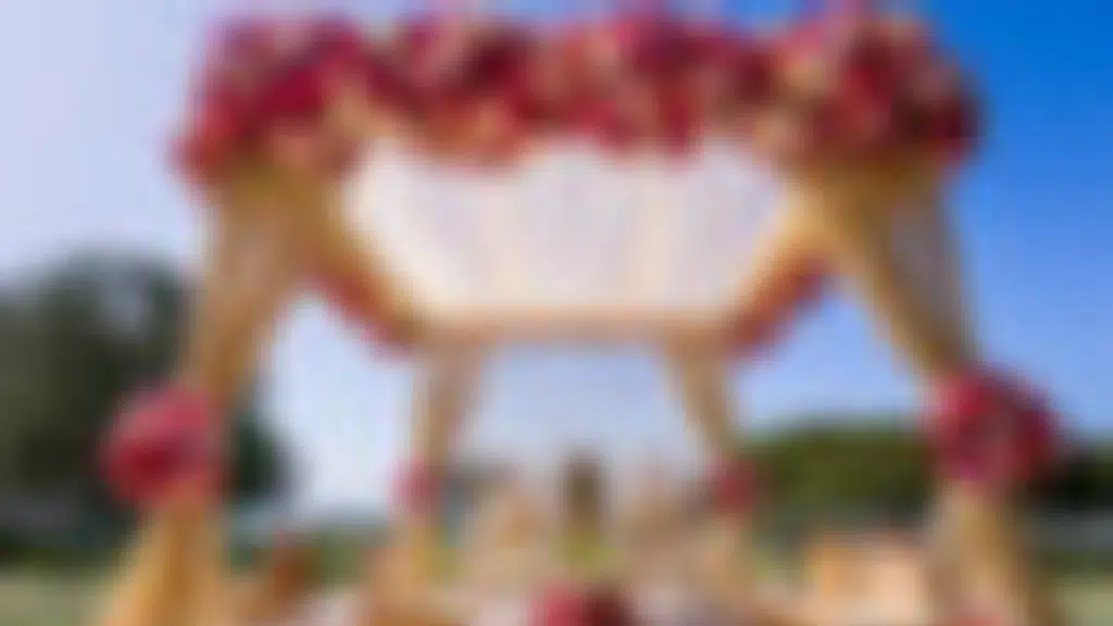 Sudha's Events And Experiences