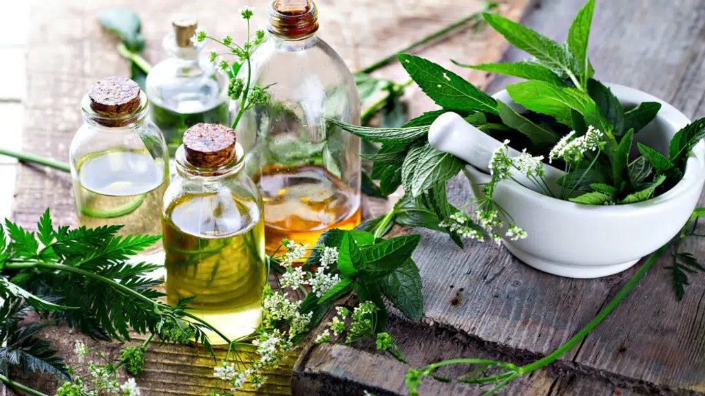 Shri Shaktimayi Ayurvedic Clinic