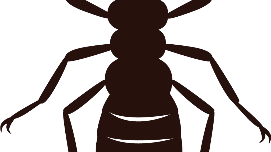 Siddhivinayak - Pest Control Service