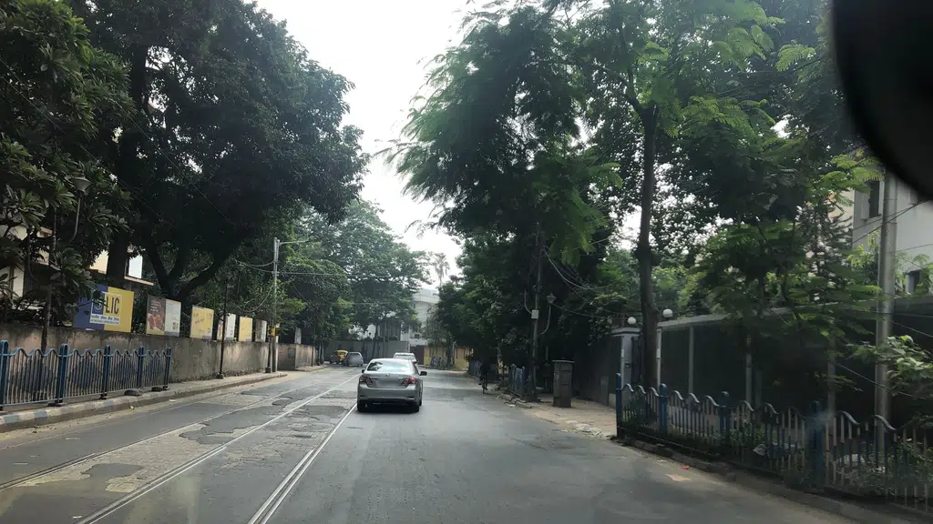 King of Road