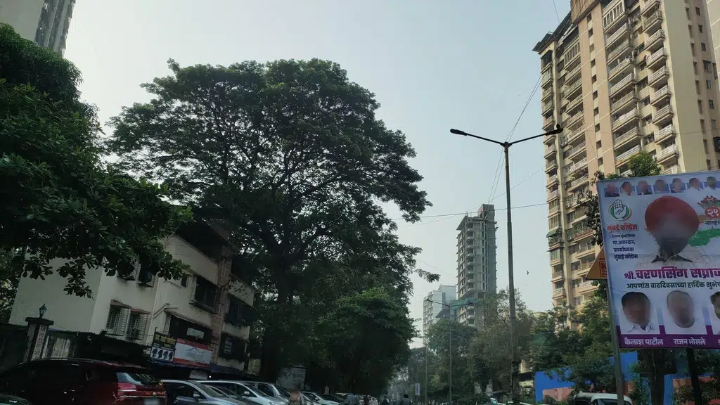Maharashtra Watch Company