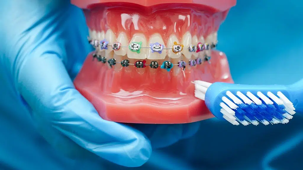 Malar Dental