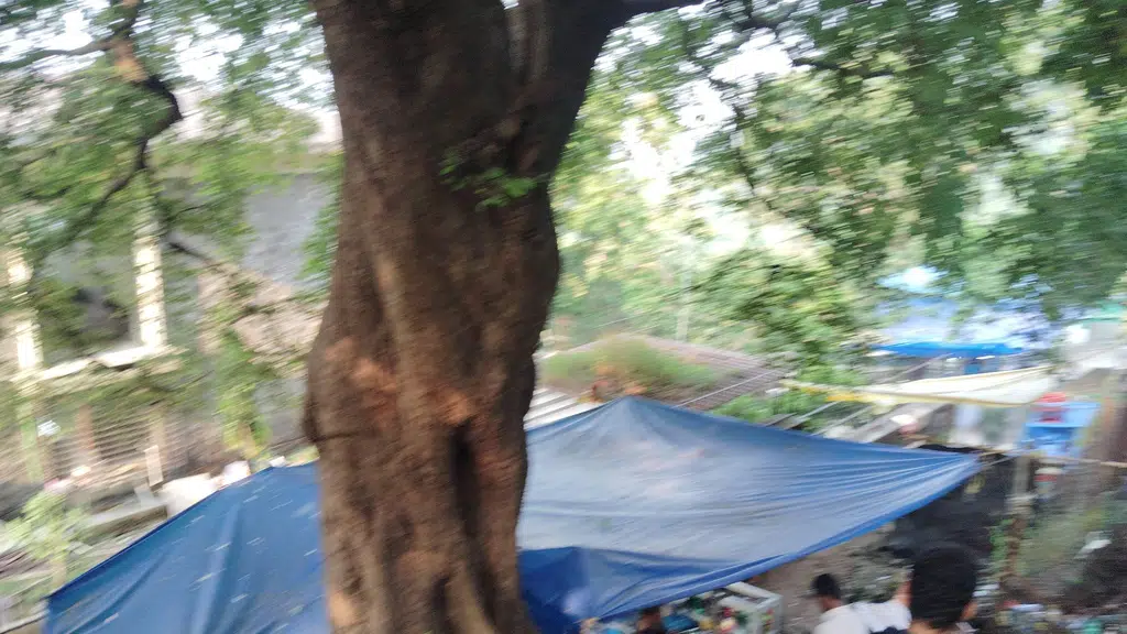 MTDC Chalukya Restaurant